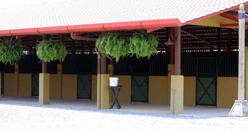 Horse Stall Roofing Service